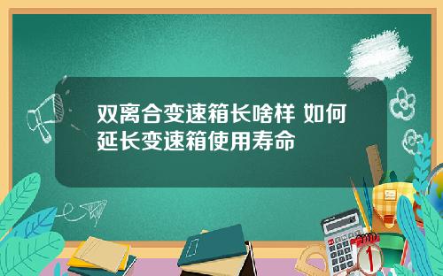 双离合变速箱长啥样 如何延长变速箱使用寿命