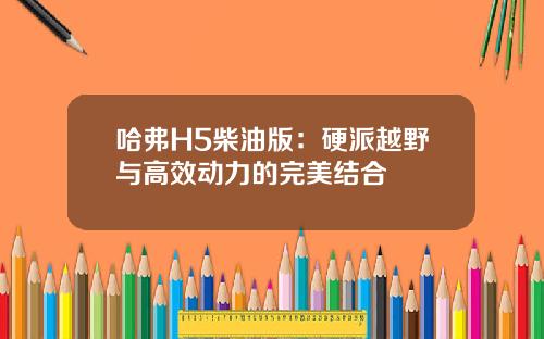 哈弗H5柴油版：硬派越野与高效动力的完美结合
