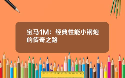 宝马1M：经典性能小钢炮的传奇之路