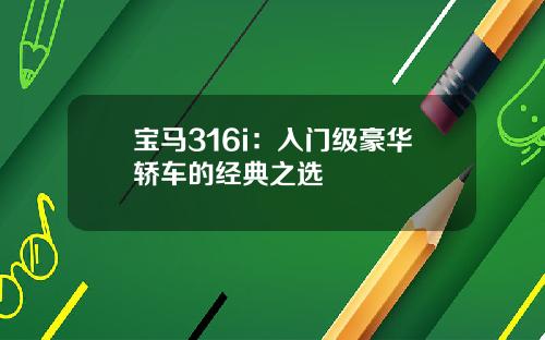 宝马316i：入门级豪华轿车的经典之选