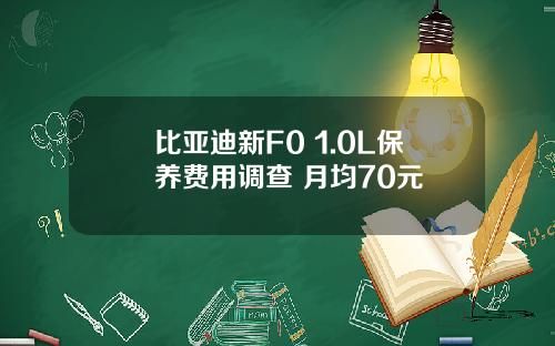 比亚迪新F0 1.0L保养费用调查 月均70元