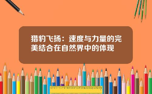 猎豹飞扬：速度与力量的完美结合在自然界中的体现
