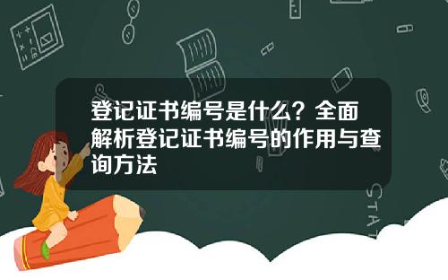 登记证书编号是什么？全面解析登记证书编号的作用与查询方法