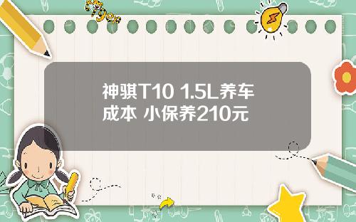 神骐T10 1.5L养车成本 小保养210元